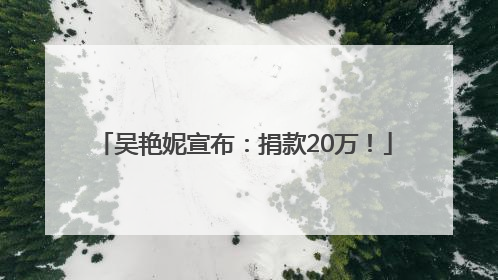 吴艳妮宣布：捐款20万！