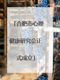 合肥市心理健康研究会正式成立
