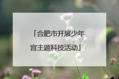 合肥市开展少年宫主题科技活动