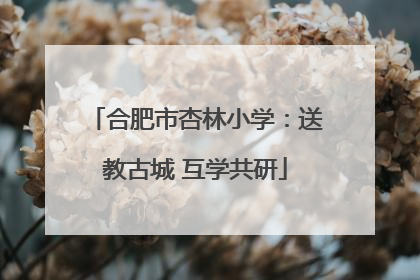 合肥市杏林小学：送教古城 互学共研
