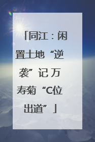 同江：闲置土地“逆袭”记 万寿菊“C位出道”