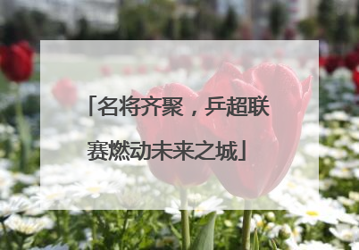 名将齐聚，乒超联赛燃动未来之城