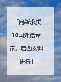向新求质 10国外籍专家开启西安调研行