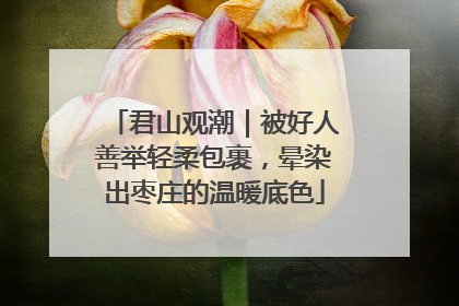 君山观潮｜被好人善举轻柔包裹，晕染出枣庄的温暖底色