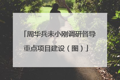 周华兵未小刚调研督导重点项目建设（图）