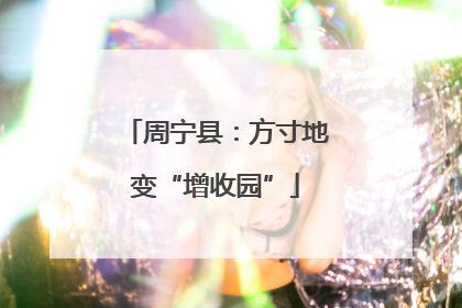 周宁县：方寸地变“增收园”