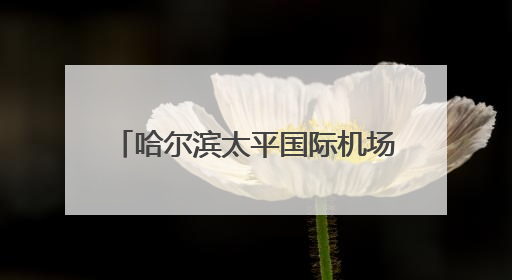 哈尔滨太平国际机场口岸：今年出入境旅客突破30万人次 同比增30.4%