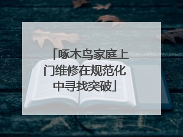 啄木鸟家庭上门维修在规范化中寻找突破