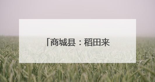 商城县：稻田来了“鸭管家”