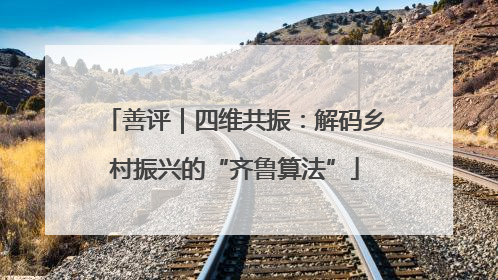 善评｜四维共振：解码乡村振兴的“齐鲁算法”