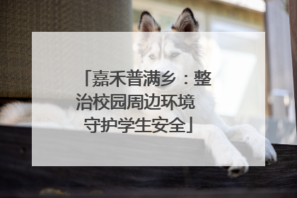 嘉禾普满乡：整治校园周边环境 守护学生安全