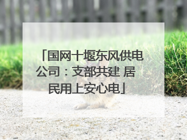 国网十堰东风供电公司：支部共建 居民用上安心电
