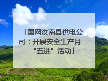 国网汝南县供电公司：开展安全生产月“五进”活动
