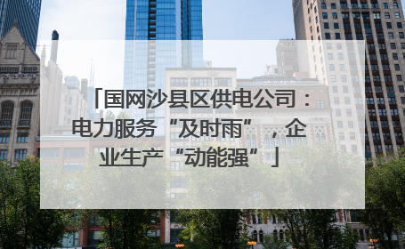 国网沙县区供电公司：电力服务“及时雨”，企业生产“动能强”
