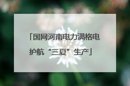 国网河南电力满格电护航“三夏”生产