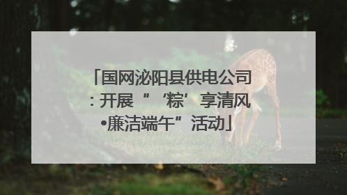 国网泌阳县供电公司：开展“‘粽’享清风 •廉洁端午”活动