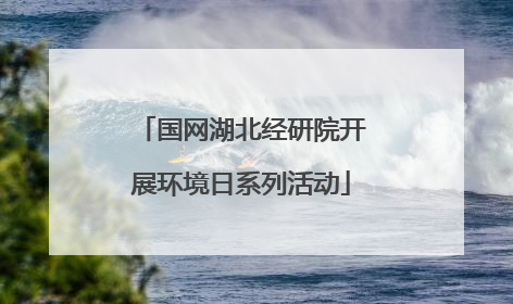 国网湖北经研院开展环境日系列活动