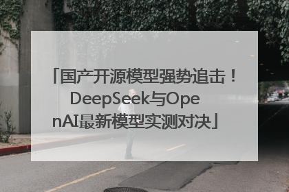 国产开源模型强势追击！DeepSeek与OpenAI最新模型实测对决
