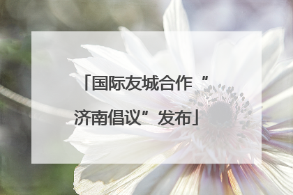 国际友城合作“济南倡议”发布