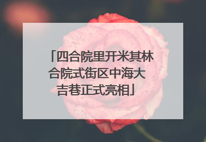 四合院里开米其林 合院式街区中海大吉巷正式亮相