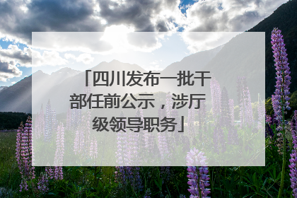 四川发布一批干部任前公示，涉厅级领导职务