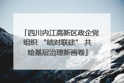 四川内江高新区政企党组织 “结对联建” 共绘基层治理新画卷