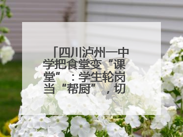四川泸州一中学把食堂变“课堂”：学生轮岗当“帮厨”，切菜掌勺样样试