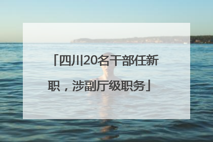 四川20名干部任新职，涉副厅级职务