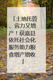 土地托管、省力又增产！获嘉县依托社会化服务助力粮食增产增收