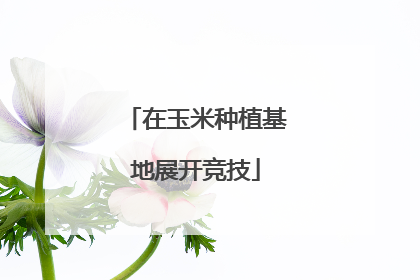 在玉米种植基地展开竞技
