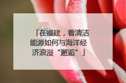 在福建，看清洁能源如何与海洋经济浪漫“邂逅”