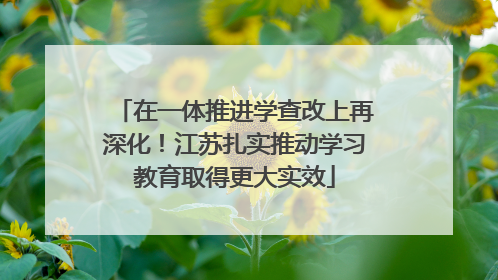 在一体推进学查改上再深化！江苏扎实推动学习教育取得更大实效