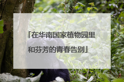 在华南国家植物园里和芬芳的青春告别