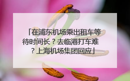 在浦东机场乘出租车等待时间长？去临港打车难？上海机场集团回应