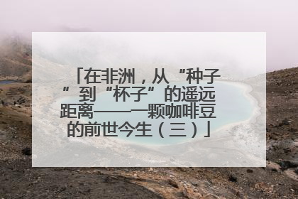 在非洲，从“种子”到“杯子”的遥远距离——一颗咖啡豆的前世今生（三）