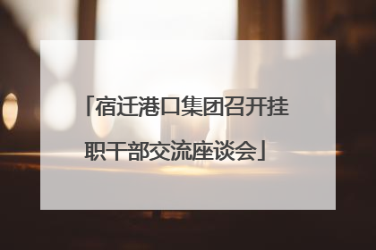 宿迁港口集团召开挂职干部交流座谈会