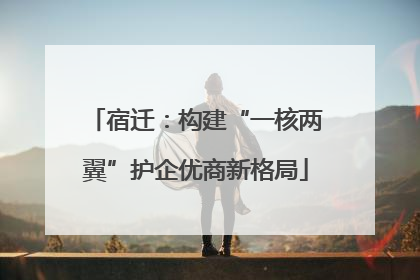 宿迁：构建“一核两翼”护企优商新格局