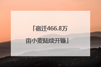 宿迁466.8万亩小麦陆续开镰