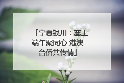 宁夏银川：塞上端午聚同心 港澳台侨共传情
