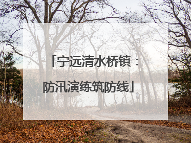 宁远清水桥镇：防汛演练筑防线