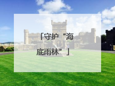 守护“海底雨林”
