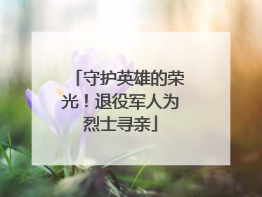 守护英雄的荣光！退役军人为烈士寻亲