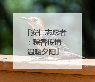 安仁志愿者：粽香传情 温暖夕阳