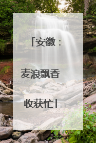 安徽：麦浪飘香收获忙