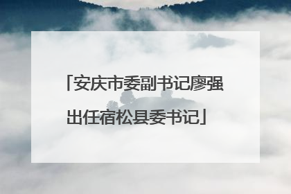 安庆市委副书记廖强出任宿松县委书记