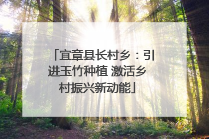 宜章县长村乡：引进玉竹种植 激活乡村振兴新动能