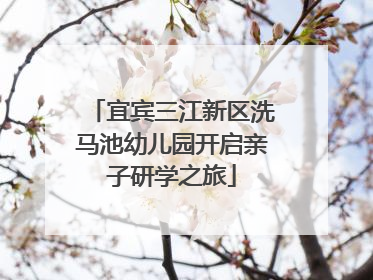 宜宾三江新区洗马池幼儿园开启亲子研学之旅