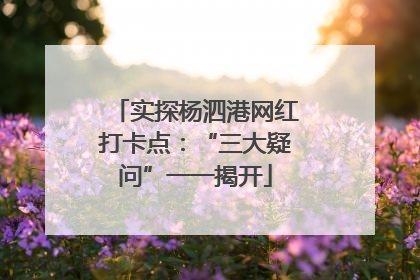 实探杨泗港网红打卡点：“三大疑问”一一揭开