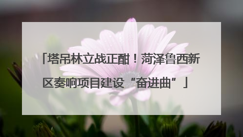塔吊林立战正酣！菏泽鲁西新区奏响项目建设“奋进曲”