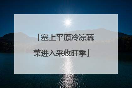 塞上平原冷凉蔬菜进入采收旺季